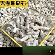 珊瑚骨鱼池过滤材料鱼缸滤材底砂底沙珊瑚石海鲜池养鱼净化