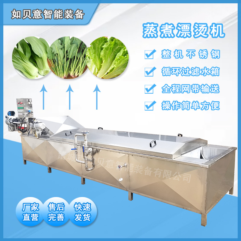 厂家供应龙须菜蒸煮漂烫机 荷兰豆蒸煮漂烫机 叶菜类蒸煮杀青机