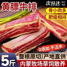 【新货】内蒙黄镖牛排草原散养四肋黄镖牛排新鲜原切牛肋排红烧烤