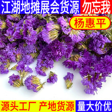 大货批发云南勿忘我干花散装 展会地摊早市夜市花茶凉茶花果茶