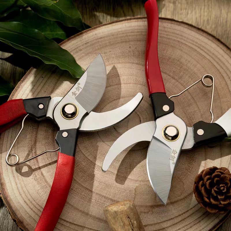 微信图片_20220829130519