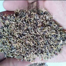 Kѹ˾l ɳĮ؎Nֲֲľ Сľ N