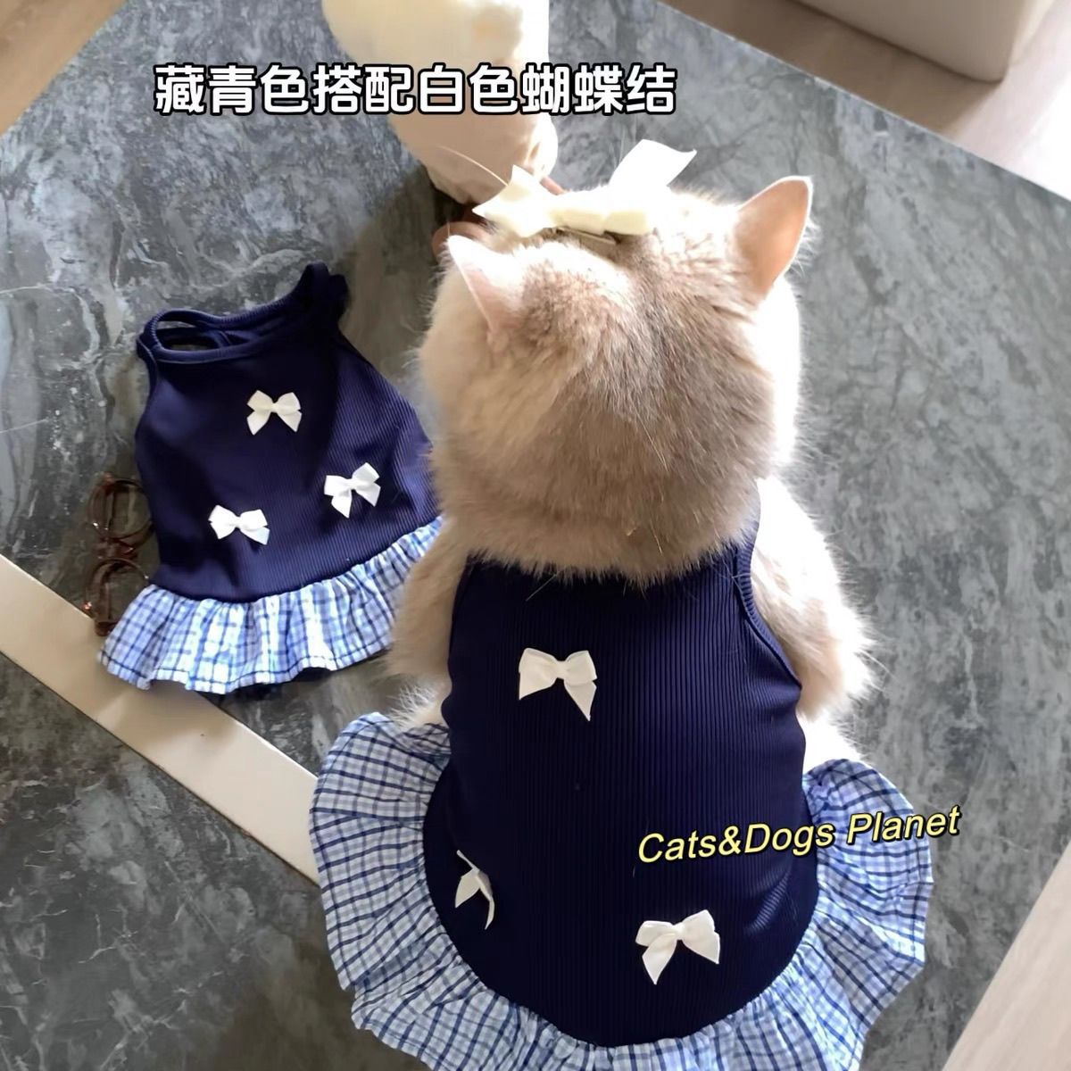 小猫咪衣服春夏季薄款透气吊带背心裙蓝金渐层布偶蓝猫幼猫防掉毛