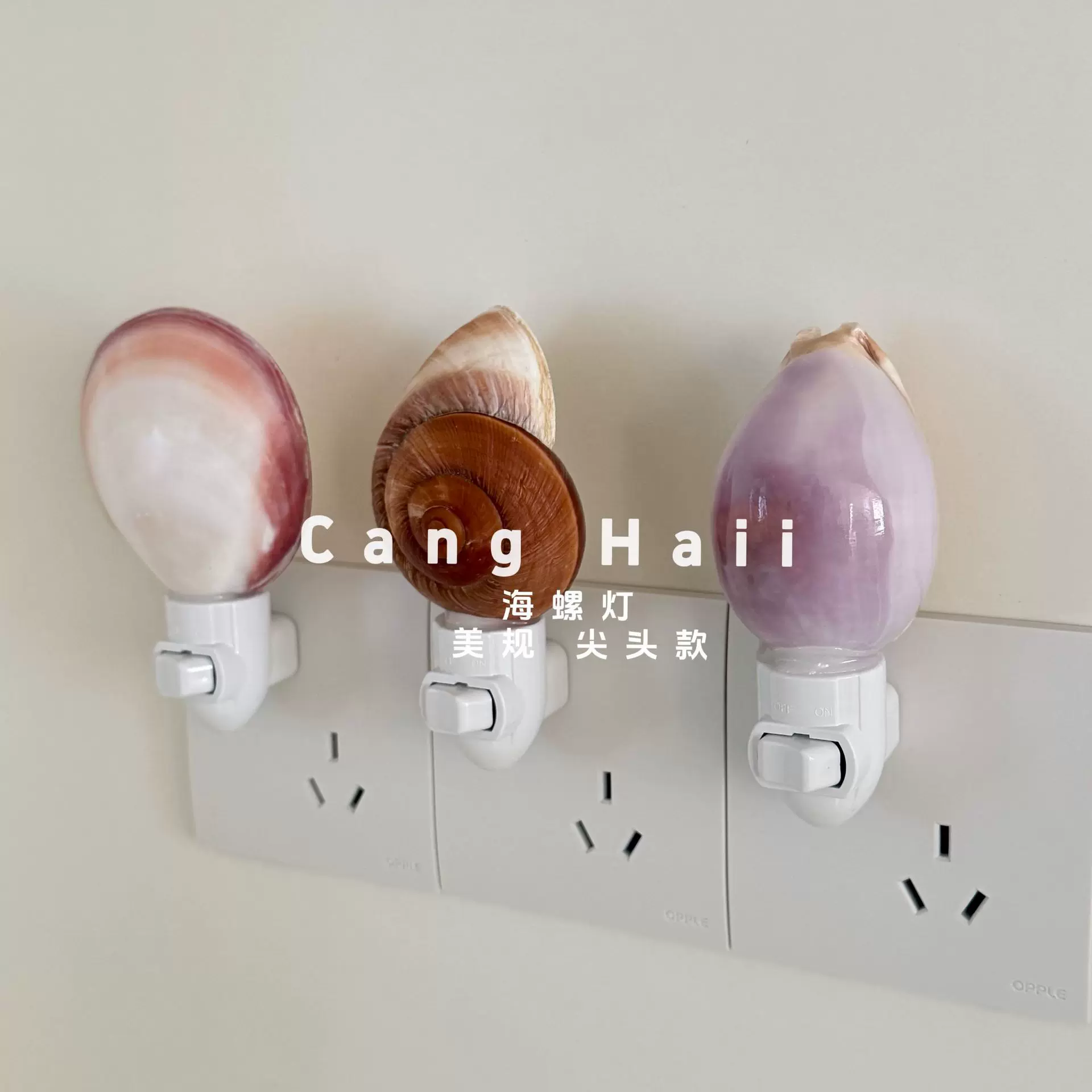 厂家供应海螺灯小壁灯海洋风灯台灯小夜灯ins外贸美规贝壳灯