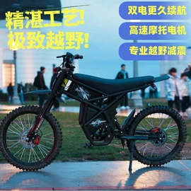 电动摩托车;电动自行车;车架