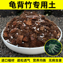 龟背竹土种植盆栽天南星科营养土海芋室内蔓绿绒花烛泥炭土壤包邮