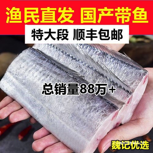 东海带鱼段新鲜大段整箱冷冻中段带鱼段批发海鲜水产银鱼散装常温