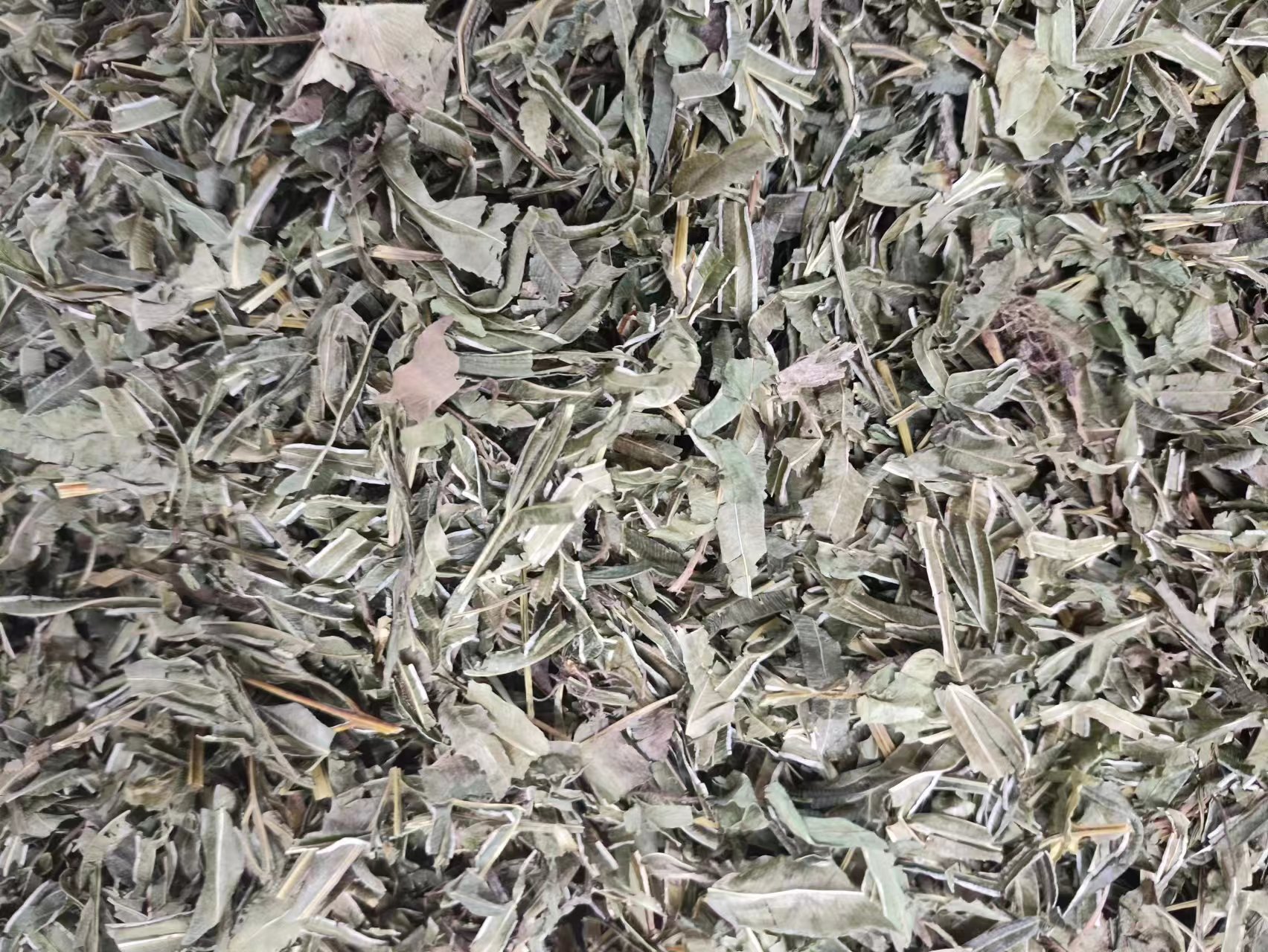 Feng Wei Cao (Pteris multifida) — Dried Chinese Herb, Powder Option, 500g specifications