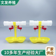 鸡用自动饮水器双头鸡用饮水器鸡用球阀自动乳头饮水器双吊杯水碗