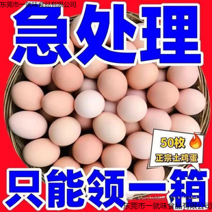 ���r�u��ɢ�B�����x�쵰�I�B�F�l�r�ҬFö���u�����u��