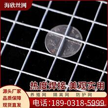 浸塑电焊网热镀锌铁丝网鸡圈地护栏铁丝电焊网卷热镀锌电焊网片