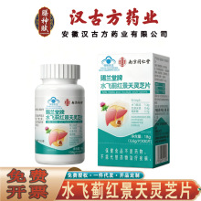 南京同仁堂乐家遐龄水飞蓟红景天灵芝片 辅助保肝护肝无痕代发