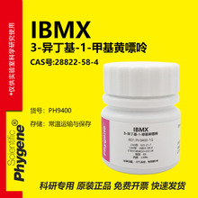 IBMX 3-�춡��-1-�׻������� 28822-58-4 PDE���Ƽ� ʵ���Լ�