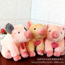 �ɐ�С�i�i��ż���R���i����ë�q���Ұ�i��������Ů������Ф�Y��