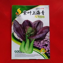 紫葉上海青種子10克上海青種子高產耐熱紫油菜早四季種植蔬菜紫油