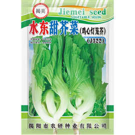 水东灯笼鸡心芥菜种子 10克水东甜芥菜种子 蔬菜菜籽批发特殊蔬菜