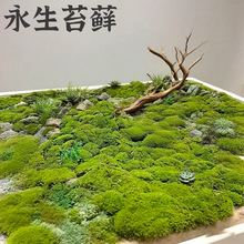 ����̦�\����ֲ��װl�\�҃��쾰��̦�\�GֲDIY��Ƥ�辰