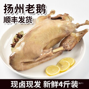 �}ˮ�Z�P�����Z�P���خa�|�P�����Z���������ˬF�uһֻ4���b�u�Z