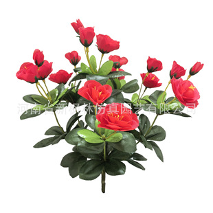 �߷¶��N�����滨�ٻ��m�ϼҾӔ[�O