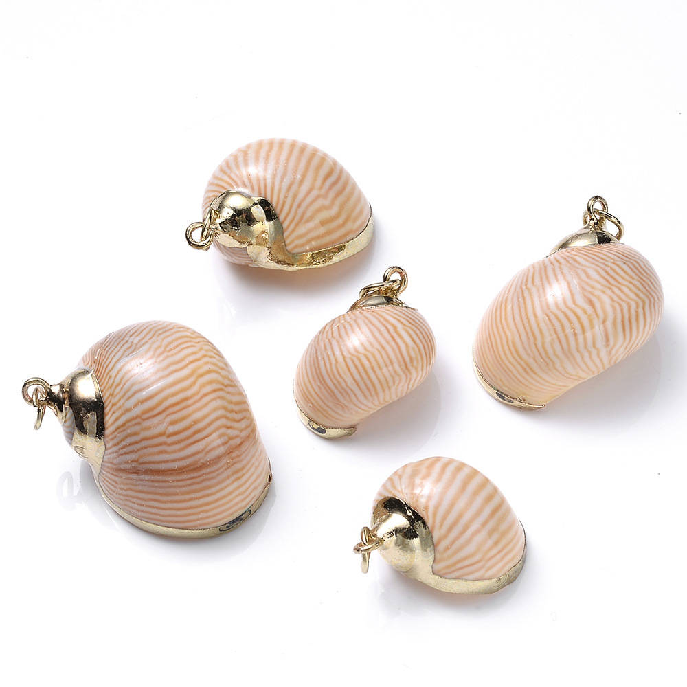 5 PCS/Package Shell Conch Shell Pendant display picture 8