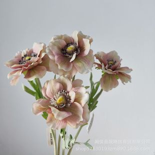 �͹ŷ��滨 �yɏ�� ���^�� ���ļܘ��b�� ������ˇ�͹żٻ��廨