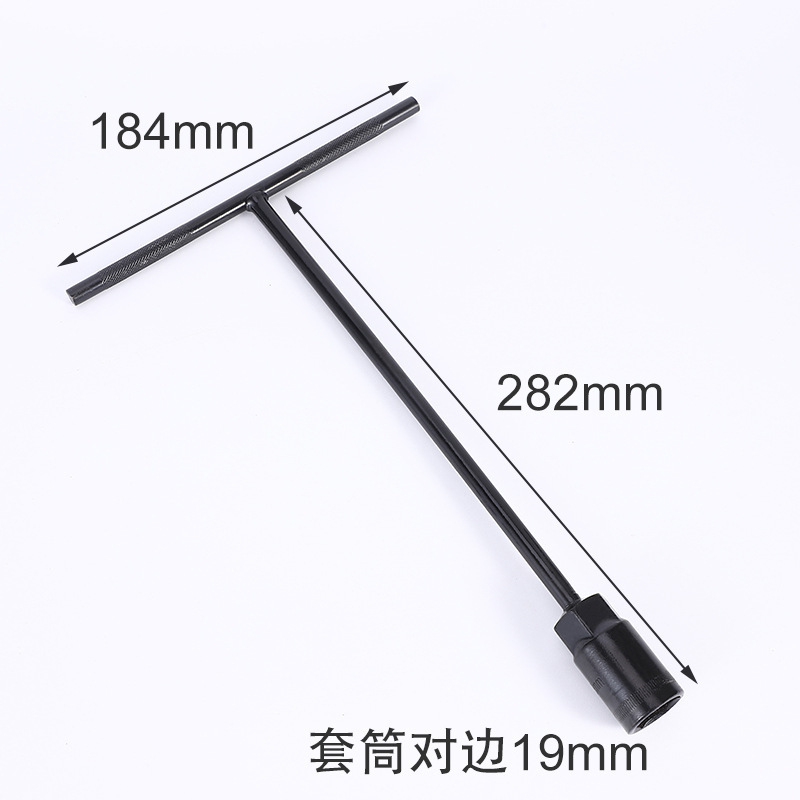 19(전기영동 T형)