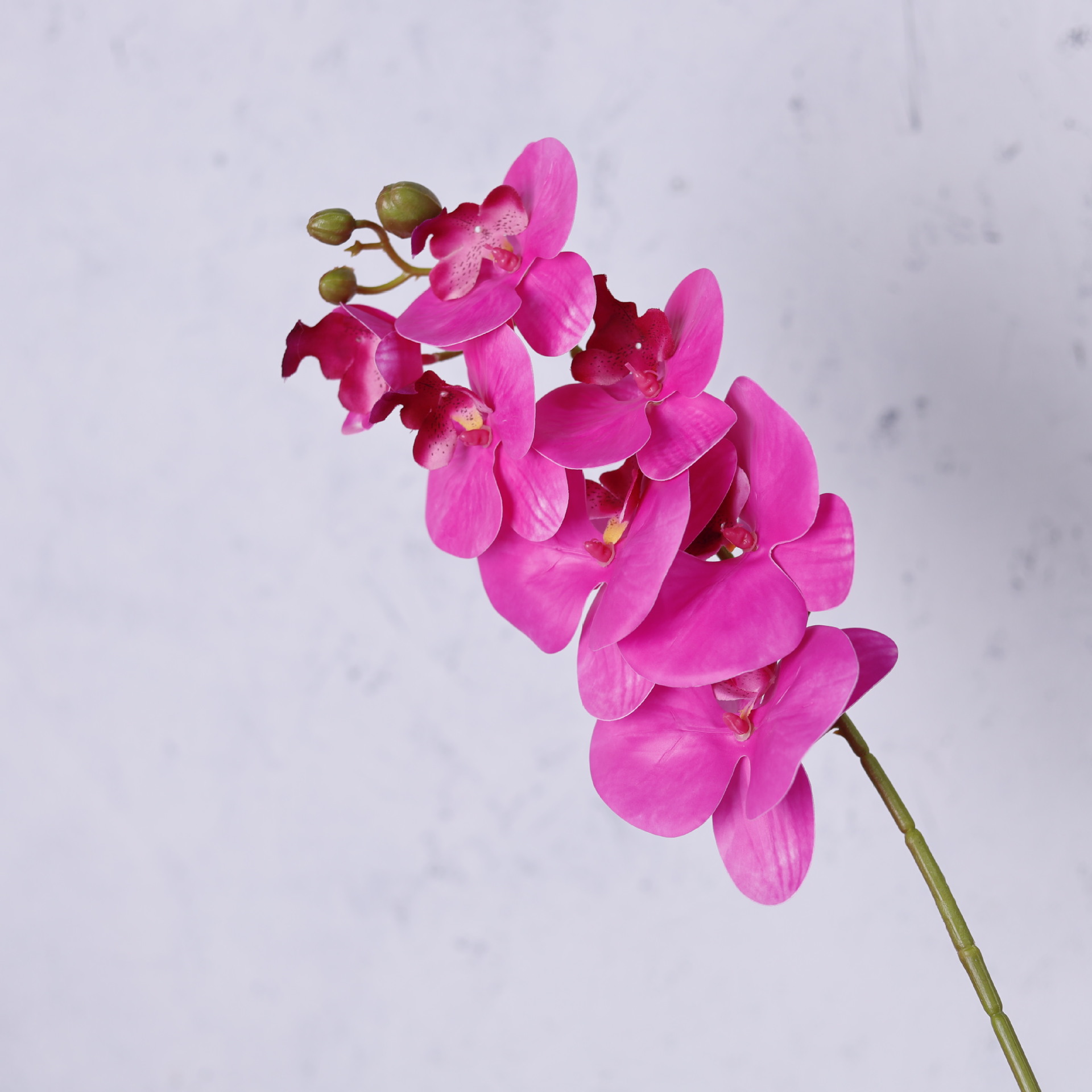 Impresión 3D de 7 cabezas de orquídeas mariposa flor de decoración de flores de alto nivel flor de nicho decoración floral decoración de sala de estar