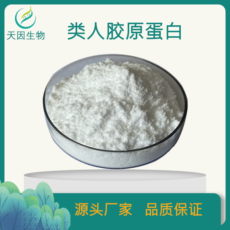 类人提取物胶原蛋白98%重组3型冻干粉原料 1克/管高含量 现货包邮