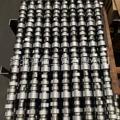 Crankshaft, camshaft Camshaft 3104279