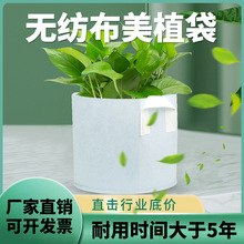 花木葡萄树小号袋营养袋西瓜种植袋装土园艺用品工程营养杯阳台