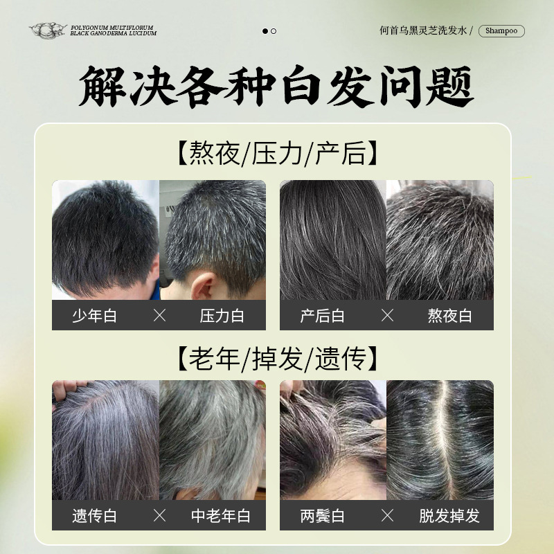 Nanjing Tongrentang Yangmi Black Ganoderma Polygonum multiflorum Champú Control de aceite Hidratante Mejora el frizz Limpieza del cuero cabelludo y alivia la picazón