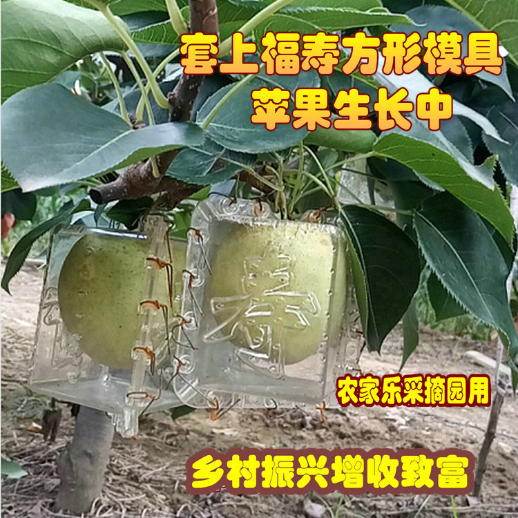 7-9两寿字方形苹果水果模福字方形瓜果定形福寿范制葫芦定型模具