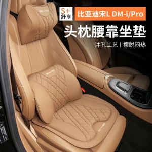 2024 Byd Song Ldmi/Pro üçün boyun və bel yastığı, dörd fəsil