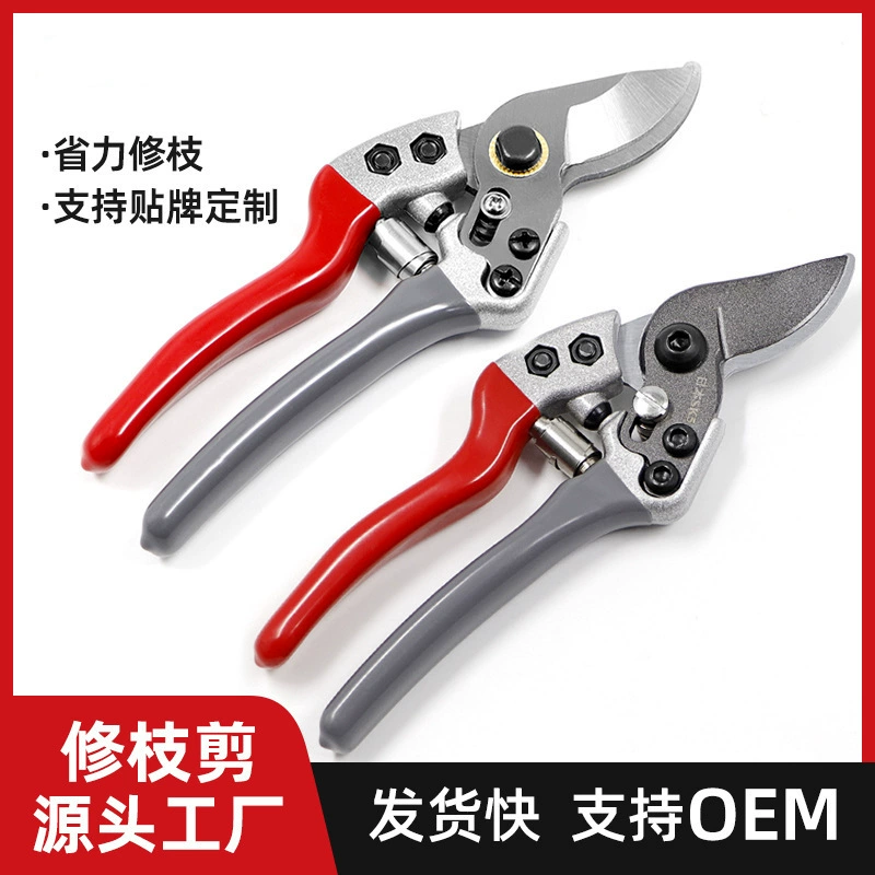 Орлиный рот обрезка ветвей деревьев обрезка садоводства