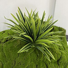单支吊兰草手感胶布植物墙装饰配材金边吊兰叶子仿真绿植植物盆景
