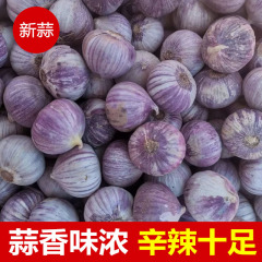 2024年新雲南一頭ニンニク、生乾燥ニンニク、紫皮一頭ニンニク、赤真珠スパイシーニンニク、野菜 2.5kg 個、季節