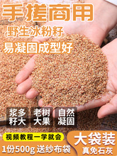 貴州特產手搓商用野生冰粉籽500g薜荔愛玉木蓮子涼粉粉籽清涼小吃