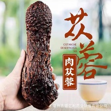 批发现货肉苁蓉整根大芸个新疆阿拉善肉苁蓉软质片肉苁蓉500克