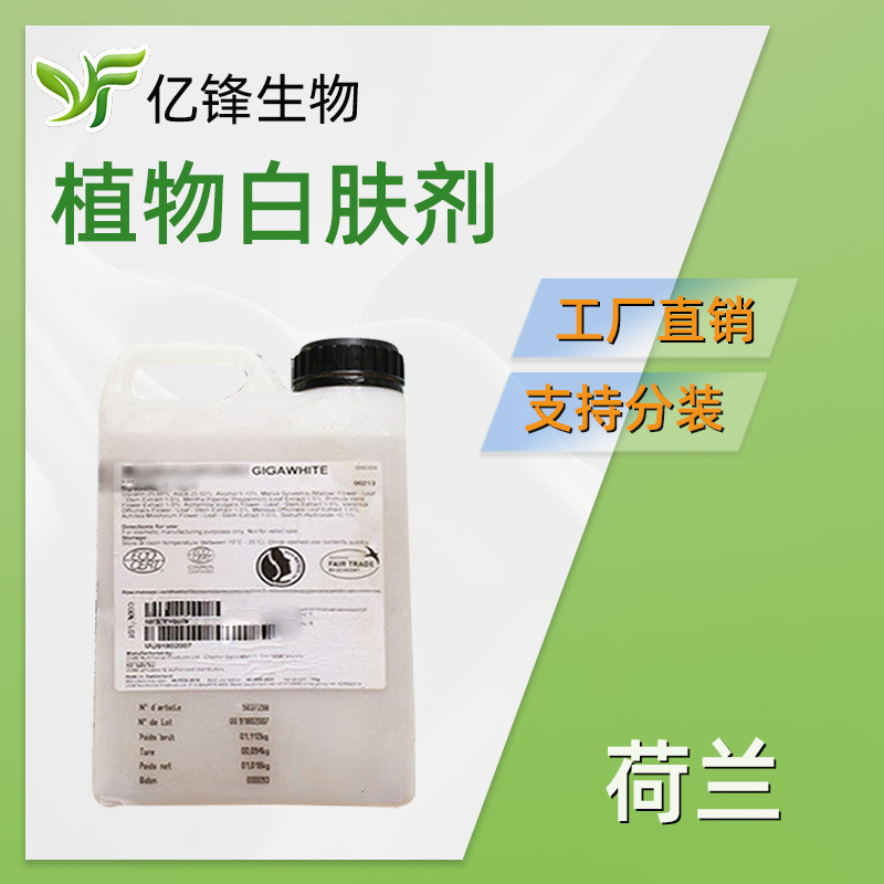 荷兰 GIGAWHITE 植物白肤剂 保湿护肤 化妆品原料 100g