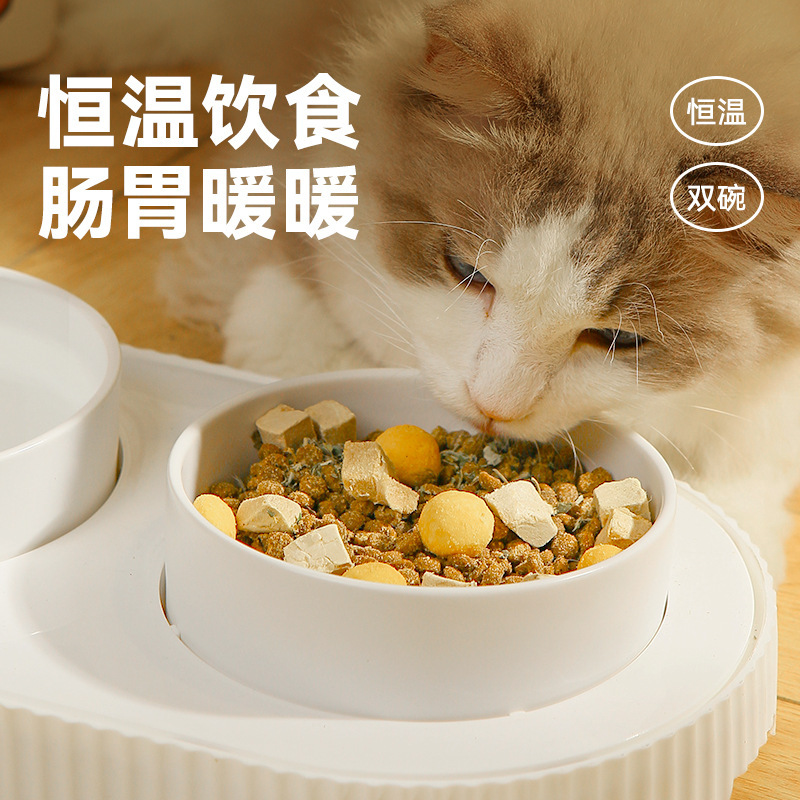 Dispensador de agua para gatos Dispensador de agua para mascotas de temperatura constante Calentamiento Tazón de cerámica para gatos Tazón de agua para gatos Circulación automática Tazón de agua para perros