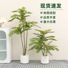 �����㴻���쾰�p�ݼٻ�������b��҃ȿ͏d�[������ֲ���������