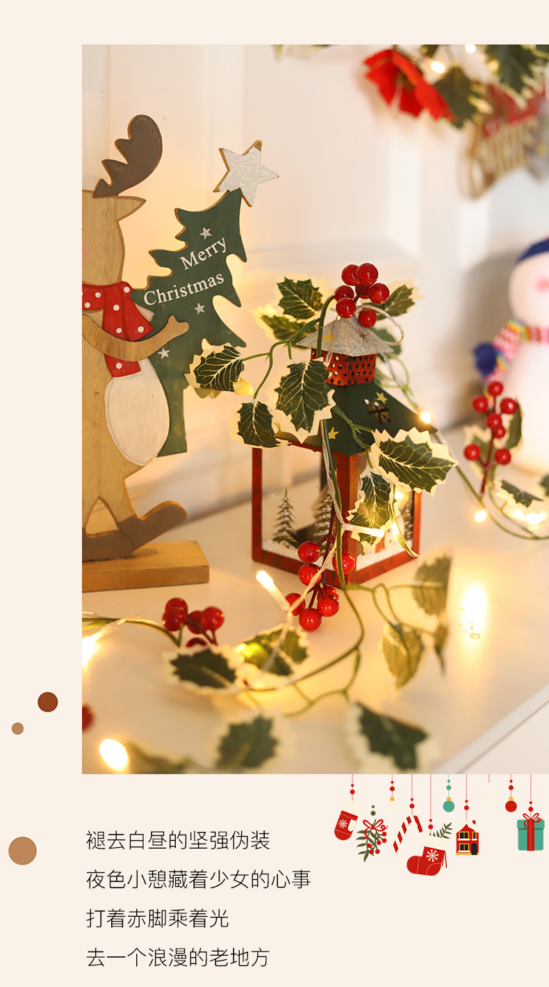 圣诞灯串_13.jpg