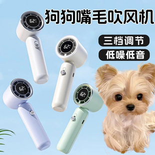 �s���Ĺ�����ë���L�CС�������沿Ę����С�����㴵Ę�C