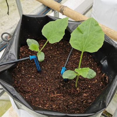 黑色加厚PE育苗袋盆景种植袋全新园林花卉生长基质袋可批发订购