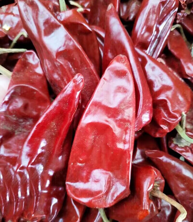 山东红干辣椒大辣椒菏泽单县干红大辣椒熬煮羊肉汤大红干辣椒一斤