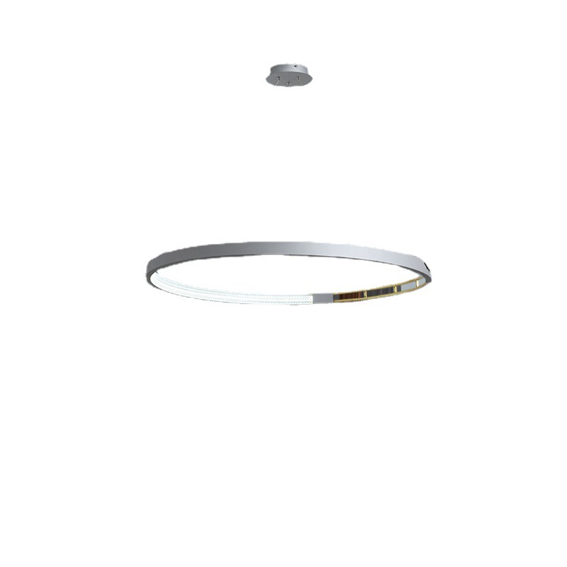 2021新款吊灯客厅灯 现代简约创意个性圆环形家用轻奢餐厅LED灯具