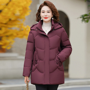 ����Ůʽ��q���߼��������ꋌ��2025���¿�̽���ᱣů�Ӻ�����