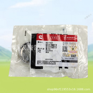 �m�俵��˹�l�әC��� ������4017621 ���wȫ܇ˮ��4017621