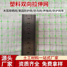 蔬菜果园防鸟双拉网聚丙烯塑料网防鸟网塑料双向拉伸网鱼缸防跳网