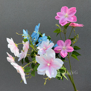 3d�F��ɏ ���滨 ��c���Ļ�Y���b� �Ҿ��b���ܛ�bٻ�
